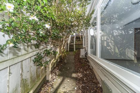 Photo of property in 61 Matai Road, Hataitai, Wellington, 6021