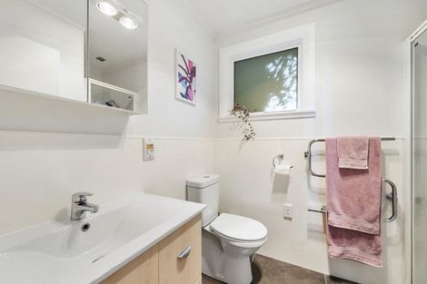 Photo of property in 46 Fortunatus Street, Brooklyn, Wellington, 6021