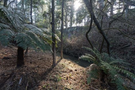 Photo of property in 57 Tiverton Downs Road, Broadlands, Reporoa, 3081