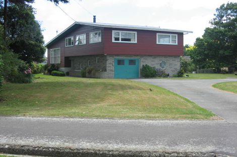 Photo of property in 43 Wakeman Street, Pahiatua, 4910