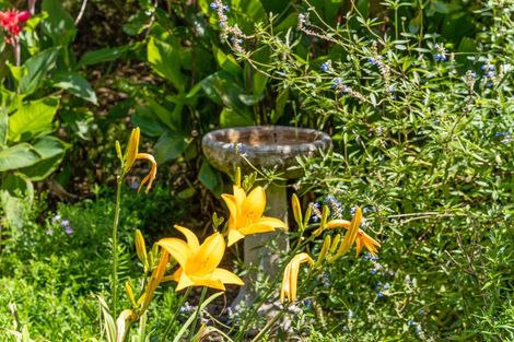 Photo of property in 204 Omaha Valley Road, Big Omaha, Warkworth, 0985