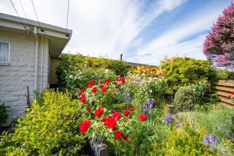 Photo of property in 12a Burleigh Road, Redwoodtown, Blenheim, 7201