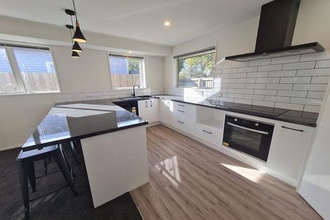 Photo of property in 51b Opawa Road, Waltham, Christchurch, 8023