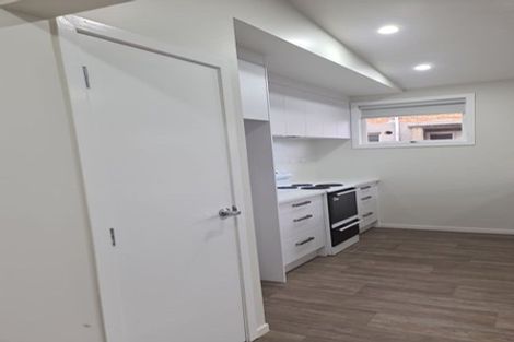 Photo of property in 42 Helvetia Road, Pukekohe, 2120