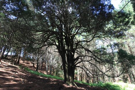 Photo of property in 182 Ohautira Road, Raglan, 3295