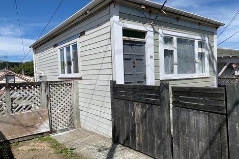 Photo of property in 111 Wallace Street, Mount Cook, Wellington, 6021