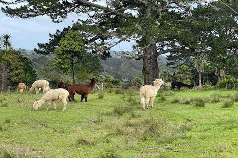 Photo of property in 255 Okura River Road, Okura, Albany, 0792