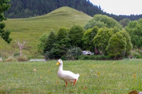 Photo of property in 61 Waikupa Road, Okoia, Whanganui, 4582