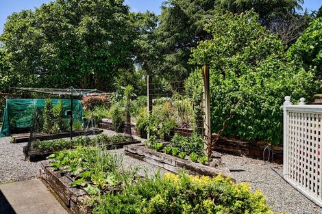 Photo of property in 615 Masterton Castlepoint Road, Te Ore Ore, Masterton, 5886