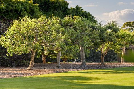 Photo of property in 59d Western Avenue, Omokoroa, 3114