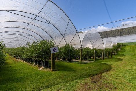 Photo of property in 44 Walker Road West, Aongatete, Katikati, 3178