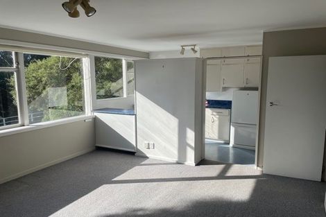 Photo of property in 4 Raroa Road, Kelburn, Wellington, 6012