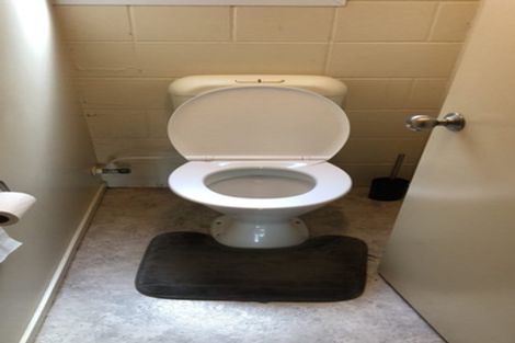 Photo of property in 7a Scotland Place, Hillcrest, Hamilton, 3216