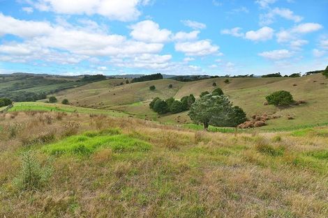 Photo of property in 290 Shanks Road, Helensville, 0875