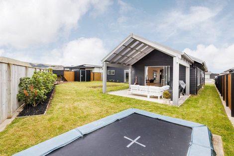 Photo of property in 10 Mediterranean Grove, Fitzherbert, Palmerston North, 4410