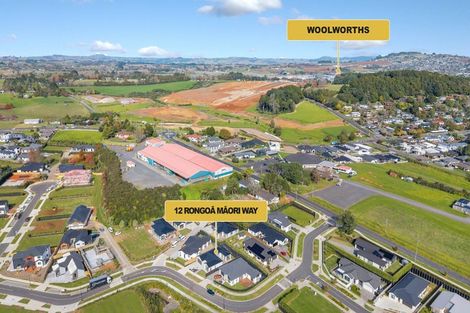 Photo of property in 12 Rongoa Maori Way, Pukekohe, 2120