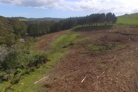 Photo of property in 59 Harbour View Rise, Mangonui, 0494