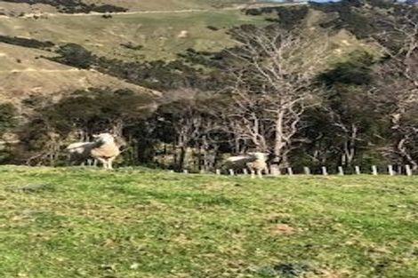 Photo of property in 1209a Riverside Road, Waimata, 4071