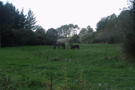 Photo of property in 61 Coutts Gully Road, Taieri Beach, Brighton, 9091