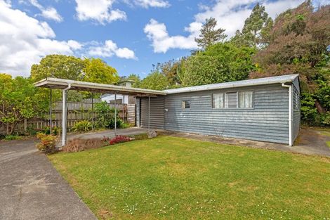 Photo of property in 25 Winter Street, Mangapapa, Gisborne, 4010