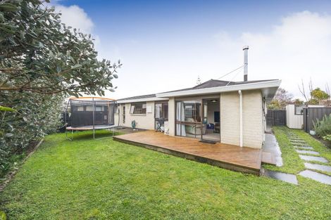 Photo of property in 4a Caulfield Place, Awapuni, Palmerston North, 4412