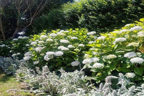 Photo of property in 1018 Railway Road South, Longlands, Hastings, 4120