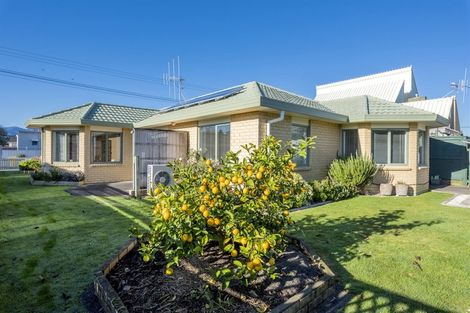 Photo of property in 41 Weraroa Road, Levin, 5510