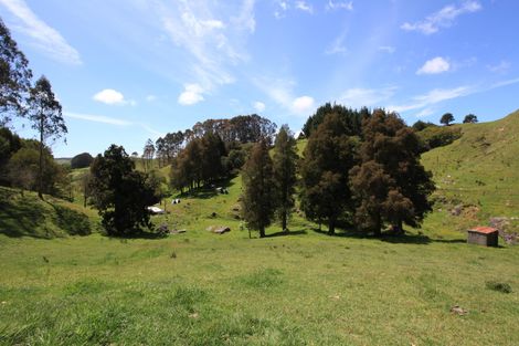 Photo of property in 182 Ohautira Road, Raglan, 3295