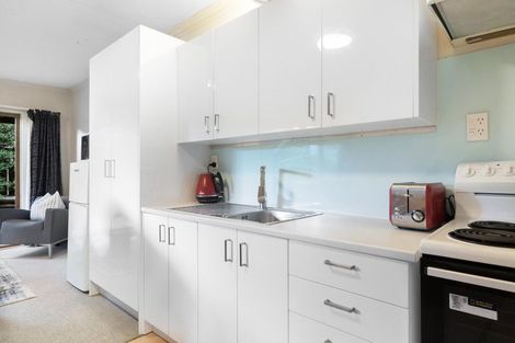 Photo of property in 24a Dublin Street, Queenstown, 9300