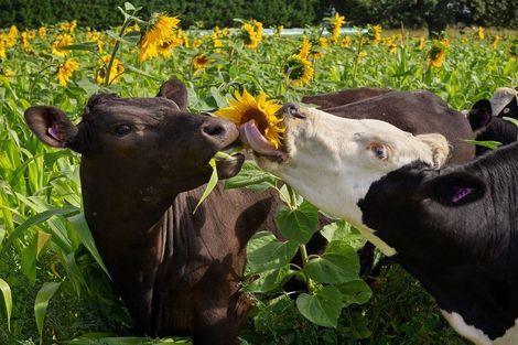 Photo of property in 48 Gardiners Road, Starvation Hill, 7495