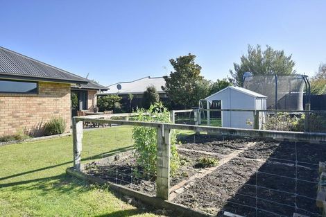 Photo of property in 9 Parkinson Place, Woodend, 7610