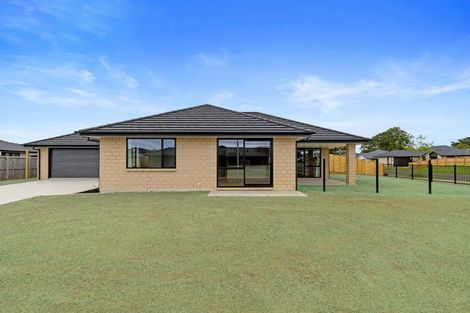 Photo of property in 40 Murray Ward Drive, Te Kauwhata, 3710