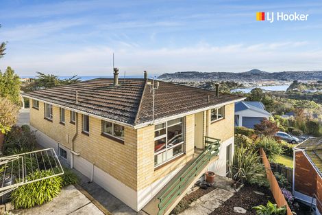 Photo of property in 24 Elliffe Place, Shiel Hill, Dunedin, 9013