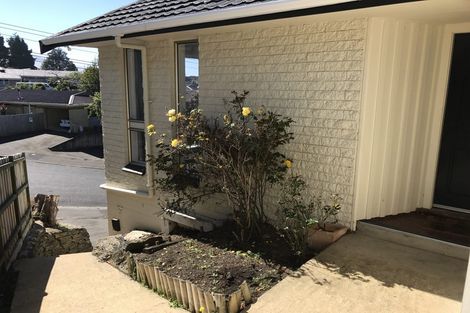 Photo of property in 28 Melrose Street, Roslyn, Dunedin, 9010