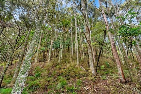 Photo of property in 945 Springfield Road, Springfield, Whangarei, 0178