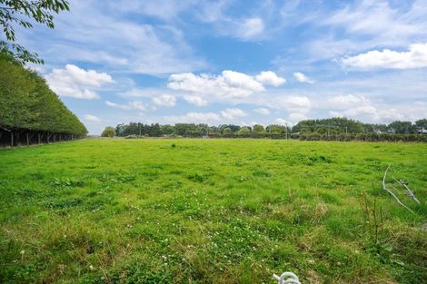 Photo of property in 644 Ryal Bush Wallacetown Road, Wallacetown, Invercargill, 9874