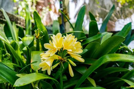 Photo of property in 656 One Tree Point Road, Ruakaka, Whangarei, 0171