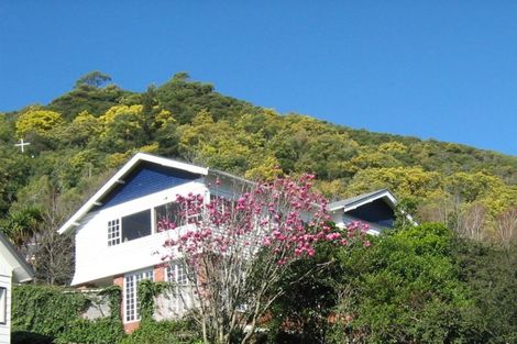 Photo of property in 118 Wellington Street, Picton, 7220