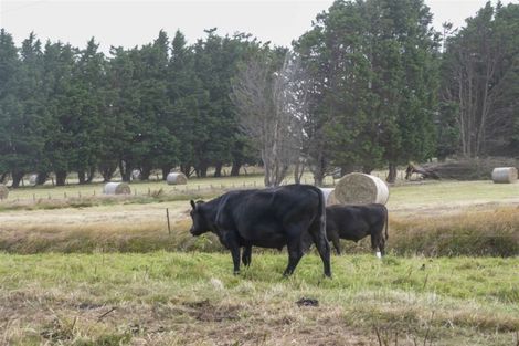 Photo of property in 8 Dunns Road, Otatara, Invercargill, 9879