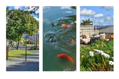 Photo of property in 5 Ethan Place, Ohauiti, Tauranga, 3112