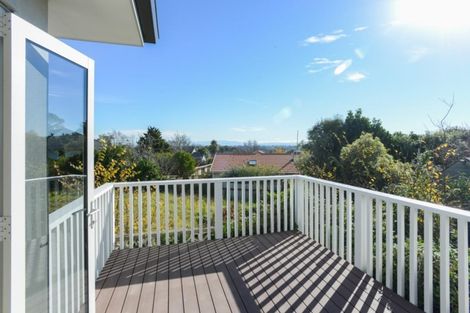 Photo of property in 25 Duart Road, Havelock North, 4130