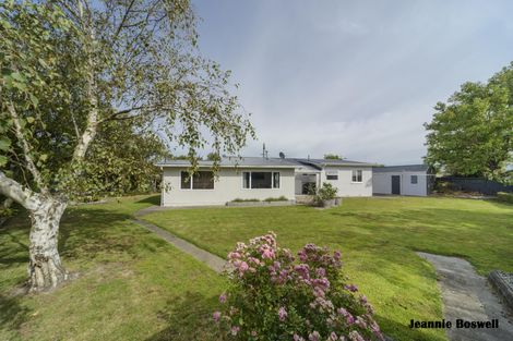 Photo of property in 50 Haydon Street, Roslyn, Palmerston North, 4414