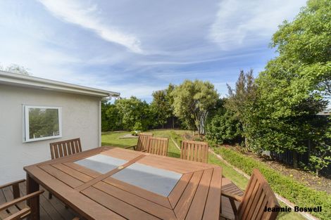Photo of property in 50 Haydon Street, Roslyn, Palmerston North, 4414