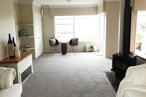 Photo of property in 123 Exmouth Road, Northcote, Auckland, 0627