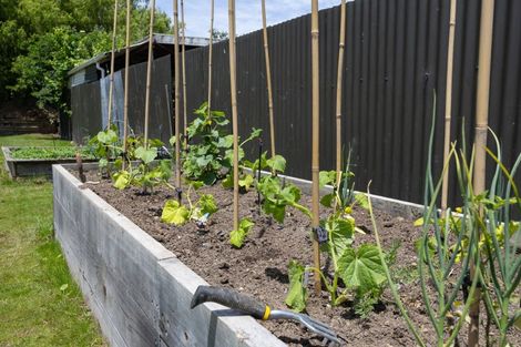 Photo of property in 8 Dixons Line, Bunnythorpe, Palmerston North, 4481