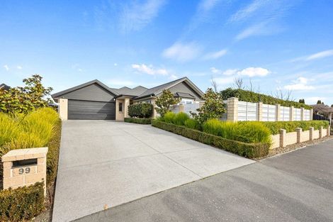 Photo of property in 99 Bibiana Street, Aidanfield, Christchurch, 8025