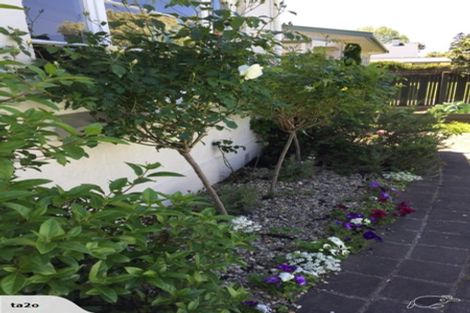 Photo of property in 9 Bernard Street, Tauranga South, Tauranga, 3112