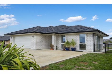 Photo of property in 39 Wairau Drive, Tikipunga, Whangarei, 0112