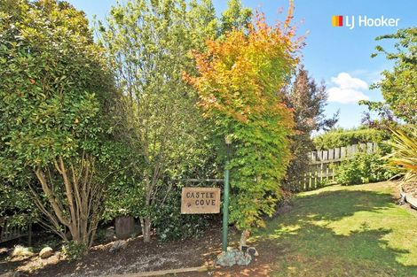 Photo of property in 21 Wray Street, Brockville, Dunedin, 9011