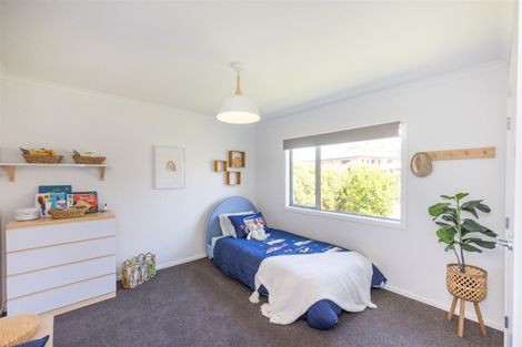 Photo of property in 9 Poplar Grove, Feilding, 4702